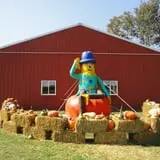 Filasky's Produce U-Pick Pumpkins & Fall Activities photo