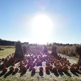 Filasky's Produce U-Pick Pumpkins & Fall Activities photo