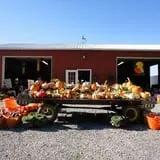 Filasky's Produce U-Pick Pumpkins & Fall Activities photo