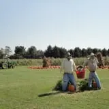 Filasky's Produce U-Pick Pumpkins & Fall Activities photo