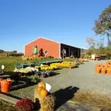 Filasky's Produce U-Pick Pumpkins & Fall Activities photo