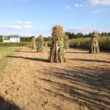 Filasky's Produce U-Pick Pumpkins & Fall Activities photo