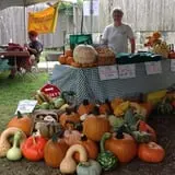 Filasky's Produce U-Pick Pumpkins & Fall Activities photo