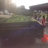 Filasky's Produce U-Pick Pumpkins & Fall Activities photo