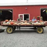 Filasky's Produce U-Pick Pumpkins & Fall Activities photo