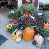 Filasky's Produce U-Pick Pumpkins & Fall Activities photo