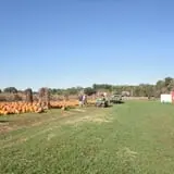 Filasky's Produce U-Pick Pumpkins & Fall Activities photo