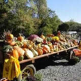 Filasky's Produce U-Pick Pumpkins & Fall Activities photo