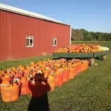 Filasky's Produce U-Pick Pumpkins & Fall Activities photo