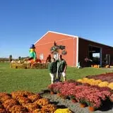 Filasky's Produce U-Pick Pumpkins & Fall Activities photo