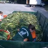 Filasky's Produce U-Pick Pumpkins & Fall Activities photo