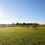 Filasky's Produce U-Pick Pumpkins & Fall Activities photo