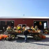Filasky's Produce U-Pick Pumpkins & Fall Activities photo