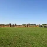 Filasky's Produce U-Pick Pumpkins & Fall Activities photo