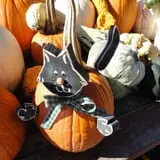 Filasky's Produce U-Pick Pumpkins & Fall Activities photo