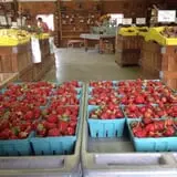 Filasky's Produce U-Pick Pumpkins & Fall Activities photo