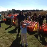 Filasky's Produce U-Pick Pumpkins & Fall Activities photo