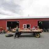 Filasky's Produce U-Pick Pumpkins & Fall Activities photo