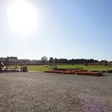 Filasky's Produce U-Pick Pumpkins & Fall Activities photo