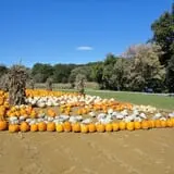 Filasky's Produce U-Pick Pumpkins & Fall Activities photo