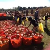 Filasky's Produce U-Pick Pumpkins & Fall Activities photo