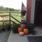 Filasky's Produce U-Pick Pumpkins & Fall Activities photo