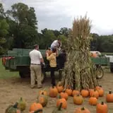 Filasky's Produce U-Pick Pumpkins & Fall Activities photo