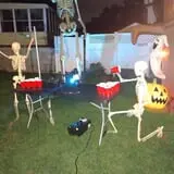 Skeletons in our cemetery photo