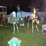 Skeletons in our cemetery photo