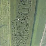 At The Barnyard Corn Maze & Pumpkin Patch photo
