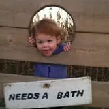 At The Barnyard Corn Maze & Pumpkin Patch photo