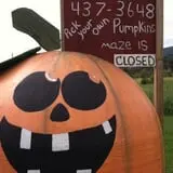 At The Barnyard Corn Maze & Pumpkin Patch photo