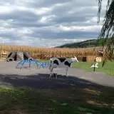 At The Barnyard Corn Maze & Pumpkin Patch photo