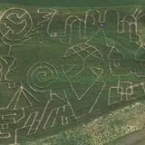 At The Barnyard Corn Maze & Pumpkin Patch photo
