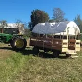 At The Barnyard Corn Maze & Pumpkin Patch photo