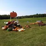 At The Barnyard Corn Maze & Pumpkin Patch photo