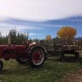 YA YA Farm & Orchard photo