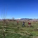 YA YA Farm & Orchard photo