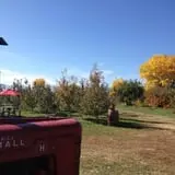 YA YA Farm & Orchard photo