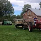 YA YA Farm & Orchard photo