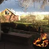 YA YA Farm & Orchard photo