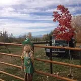 YA YA Farm & Orchard photo