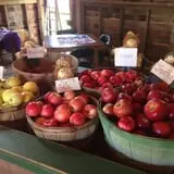 YA YA Farm & Orchard photo