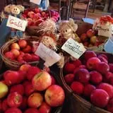 YA YA Farm & Orchard photo