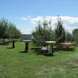 YA YA Farm & Orchard photo