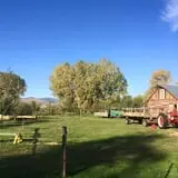 YA YA Farm & Orchard photo