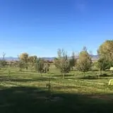 YA YA Farm & Orchard photo