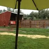 YA YA Farm & Orchard photo