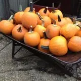 Pendleton's Country Market photo
