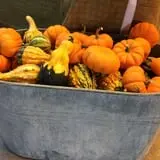 Pendleton's Country Market photo